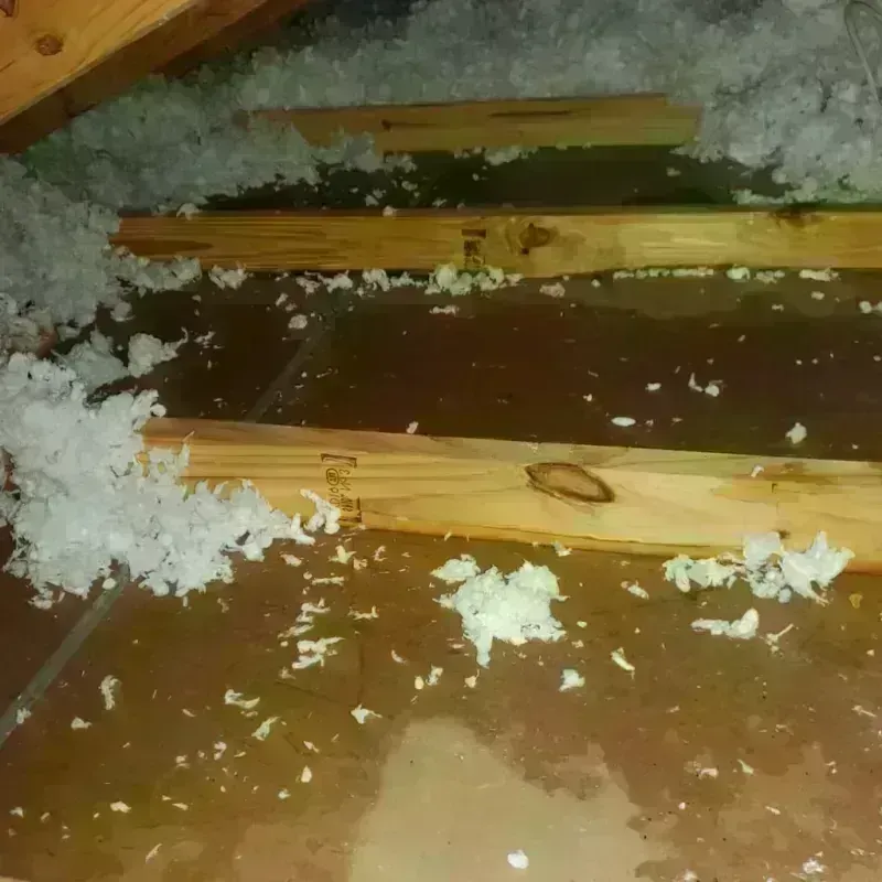 Attic Water Damage in Warrick County, IN